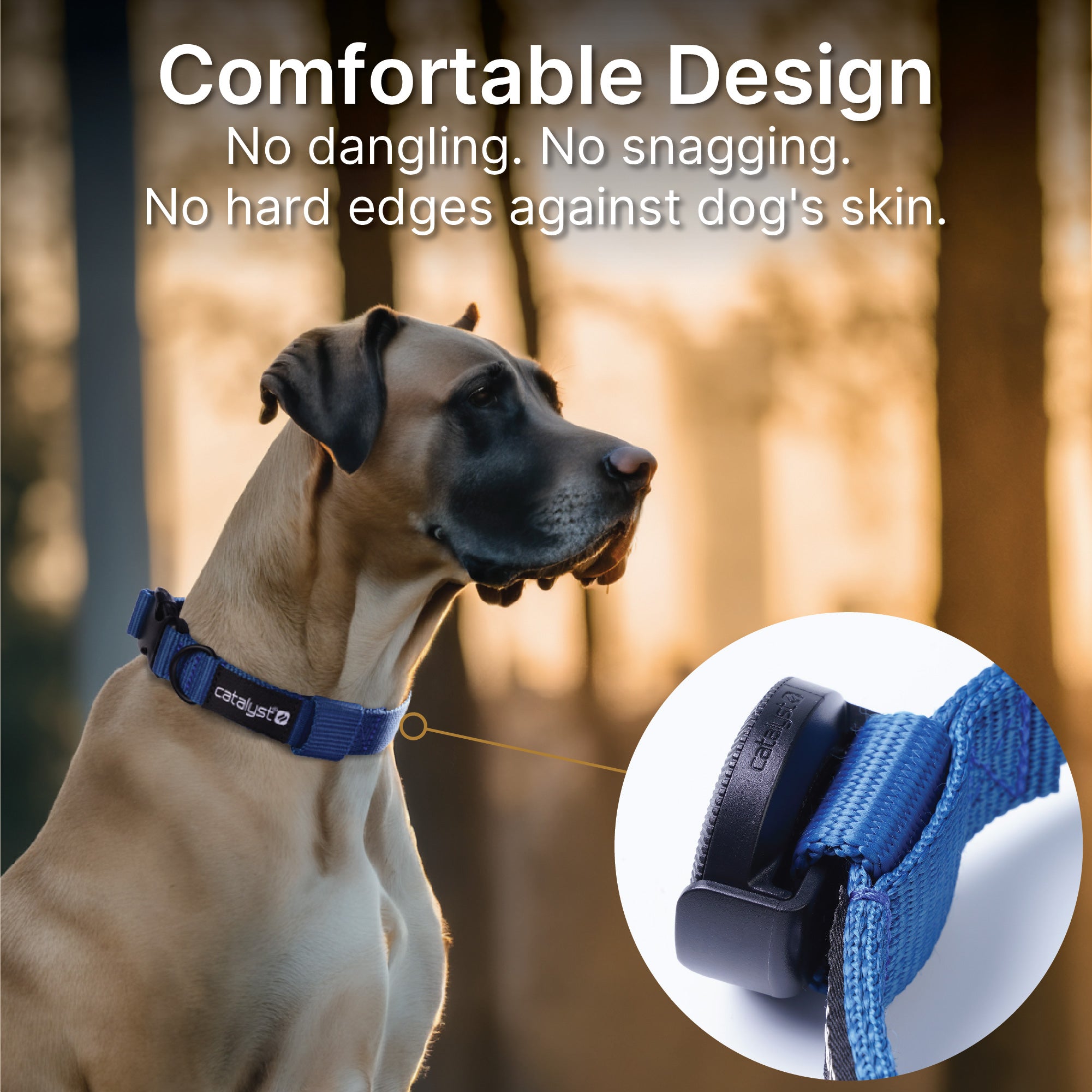 A Great Dane wears the Catalyst Case US Dog Collar for AirTag outdoors at sunset. Text above: “Comfortable design—no dangling, no snagging, no hard edges.” Inset shows close-up of its smooth black buckle and textured blue strap.
